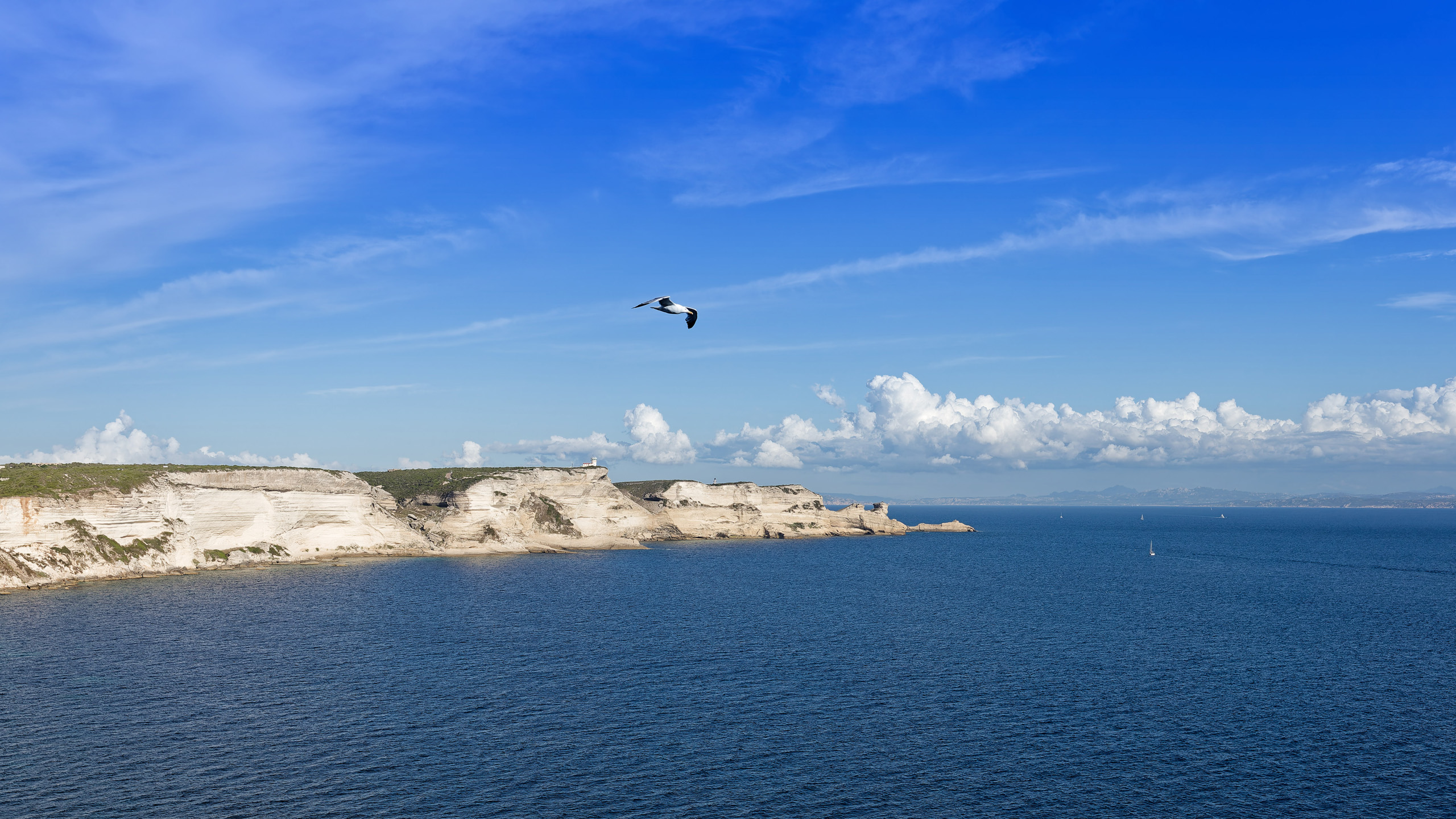 Segeln Sardinien 2024